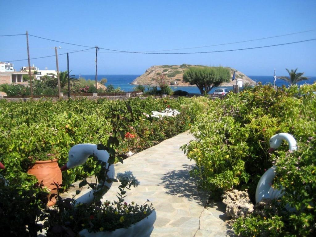 Mochlos Mare Esterno foto